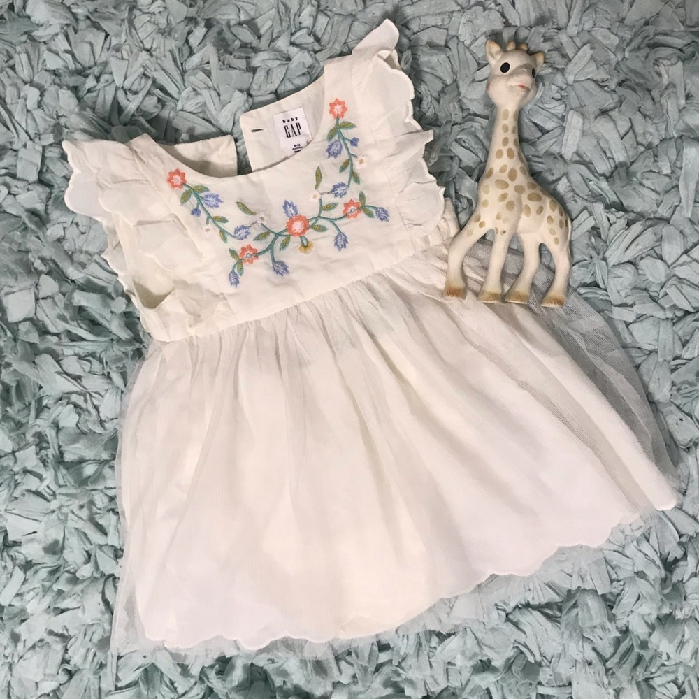 Baby Gap tulle embroidered dress NWOT